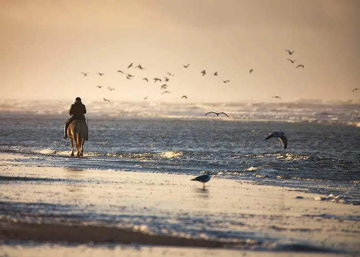 Appartementhaus Bracht - Kaetemoeh * 유이스트